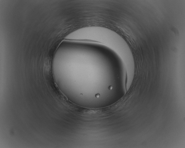 X0000116630129200912241820