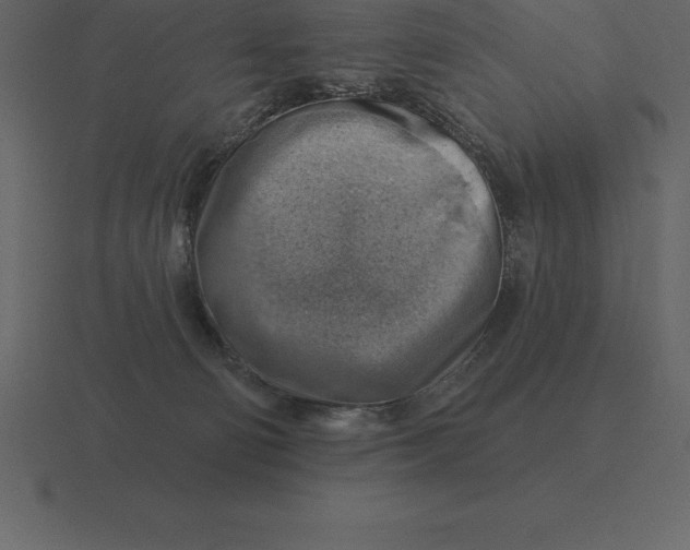 X0000116630130200912241820