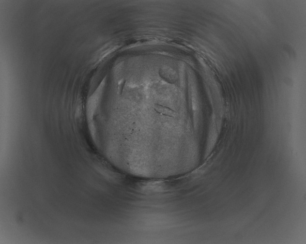 X0000116630132200912241820