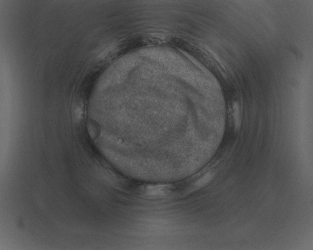 X0000116630134200912241820