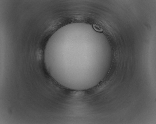 X0000116630135200912241820