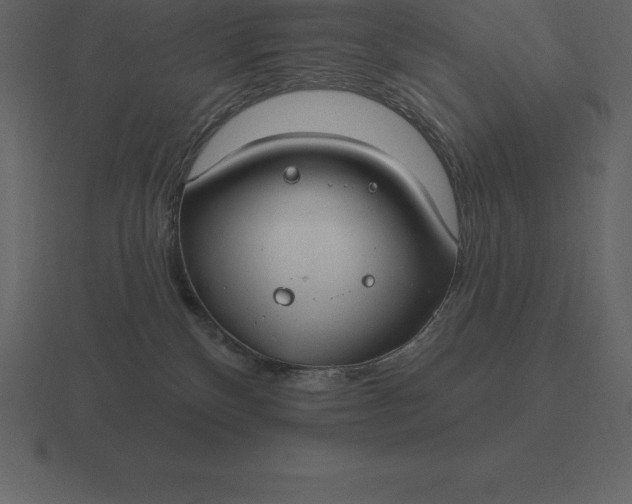 X0000116630136200912241820