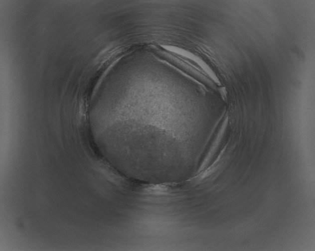 X0000116630140200912241819