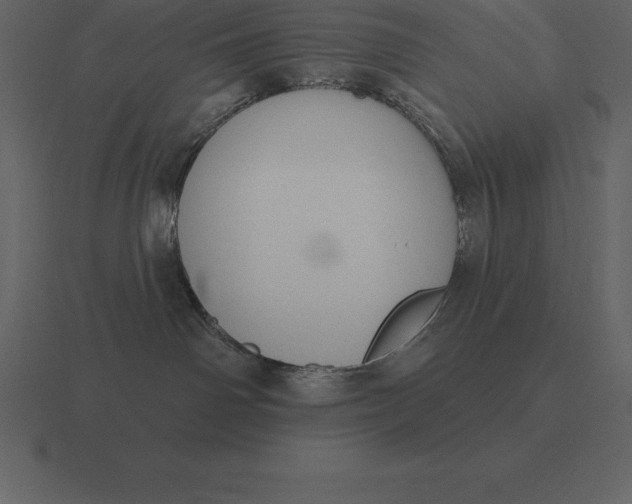 X0000116630142200912241819