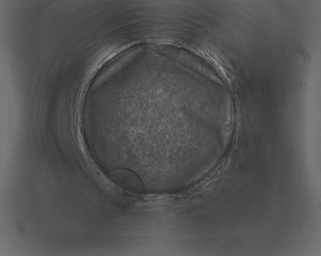 X0000116630145200912241819