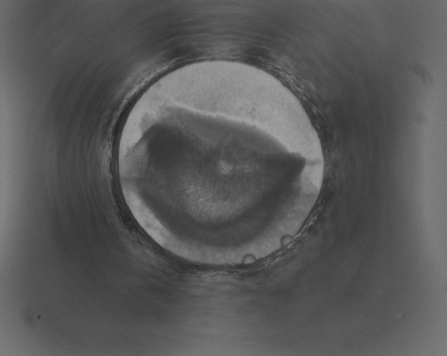 X0000116630146200912241819