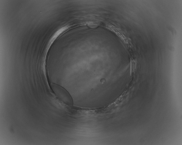 X0000116630147200912241819