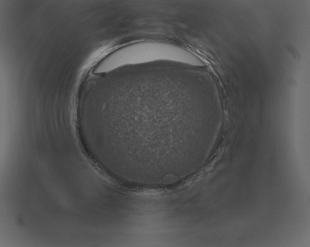 X0000116630149200912241819