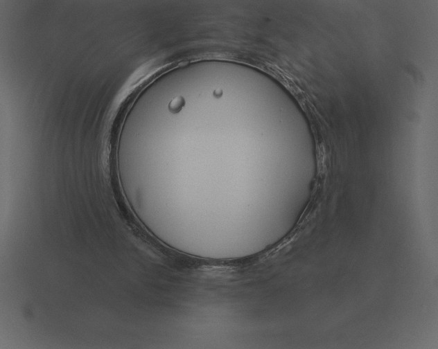 X0000116630150200912241819