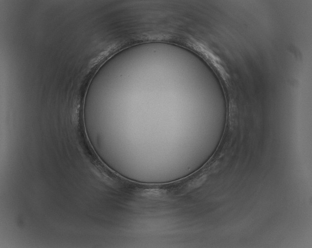 X0000116630153200912241819