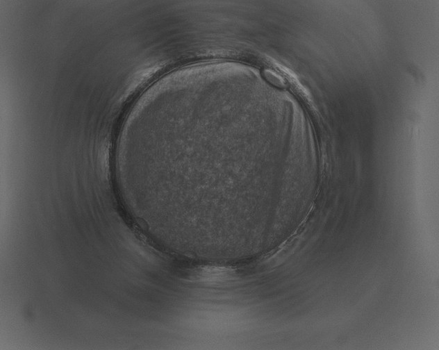 X0000116630154200912241819