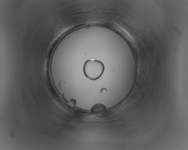 X0000116630155200912241819