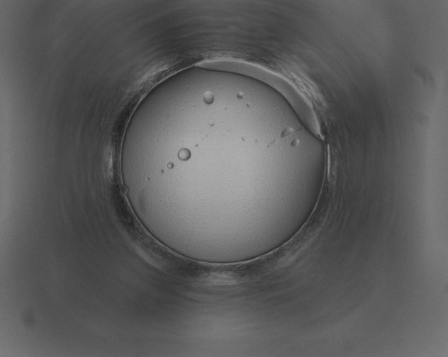 X0000116630157200912241819