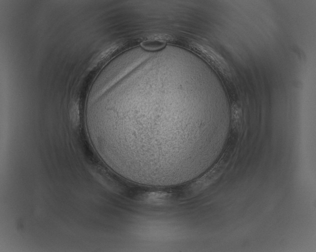 X0000116630158200912241819