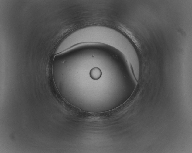 X0000116630161200912241819