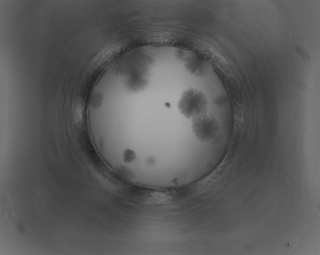 X0000116630166200912241819