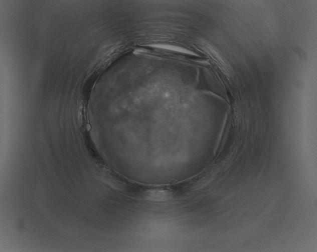 X0000116630169200912241819