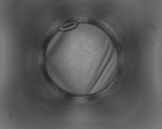 X0000116630170200912241819