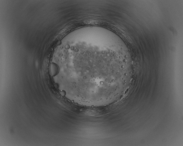 X0000116630171200912241819