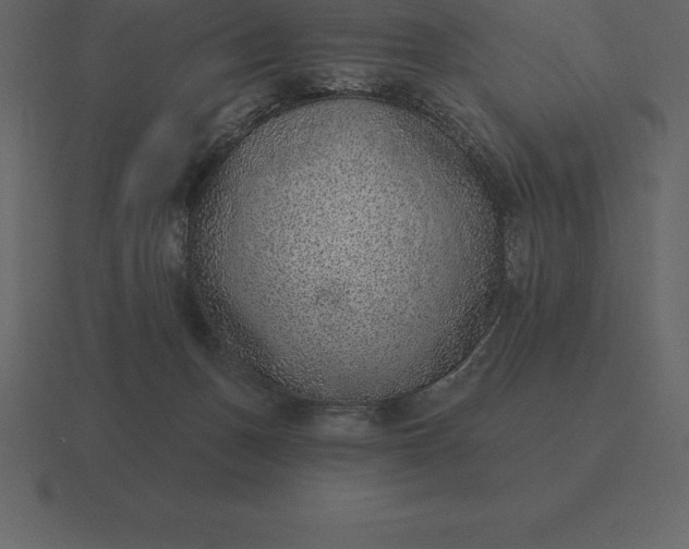 X0000116630175200912241819