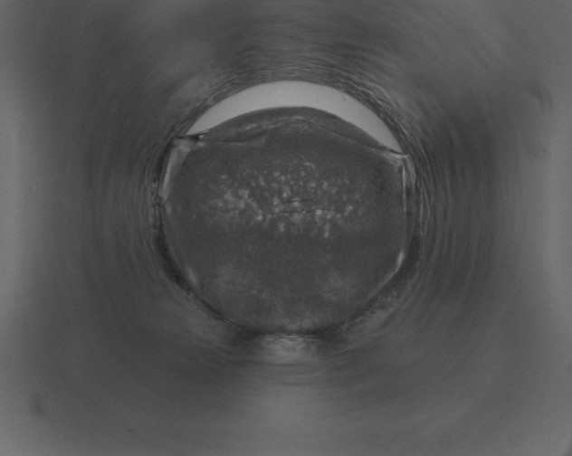 X0000116630181200912241819