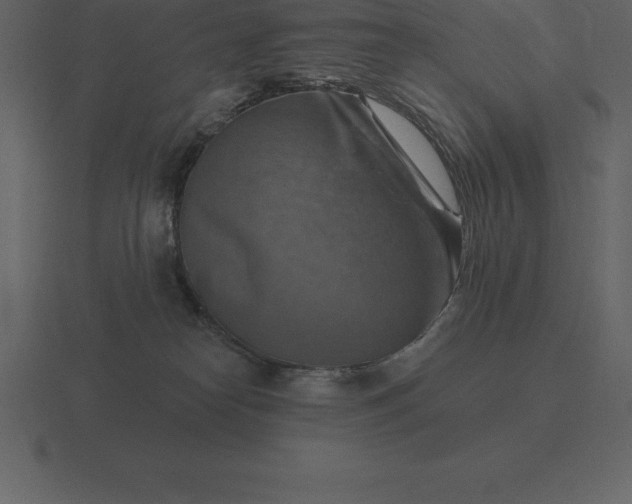 X0000116630182200912241819