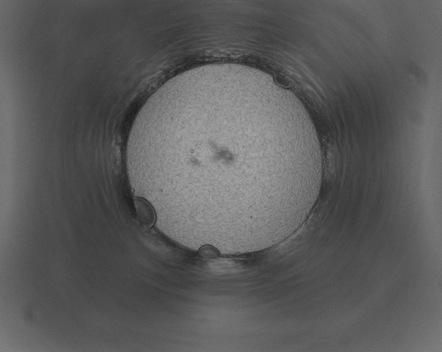 X0000116630183200912241819