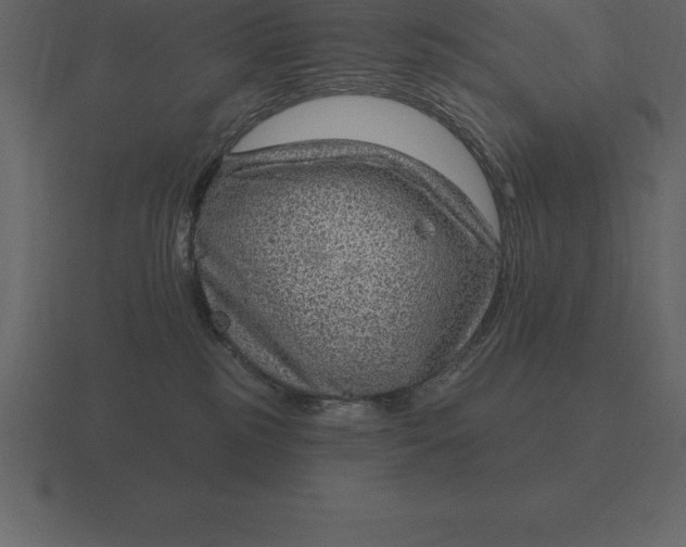 X0000116630185200912241819