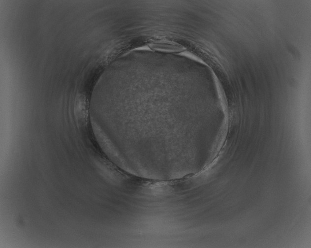 X0000116630186200912241819