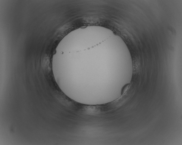 X0000116630187200912241819