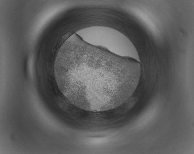 X0000116630189200912241819