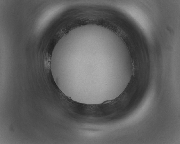 X0000116630190200912241819