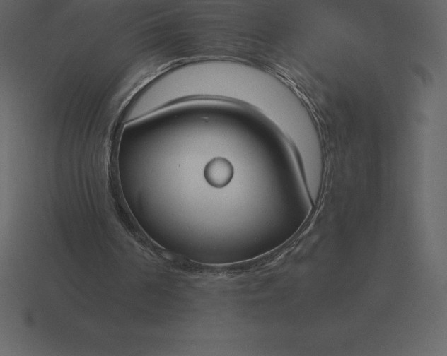 X0000116630194200912241819