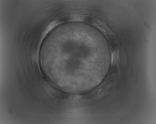 X0000116630195200912241819