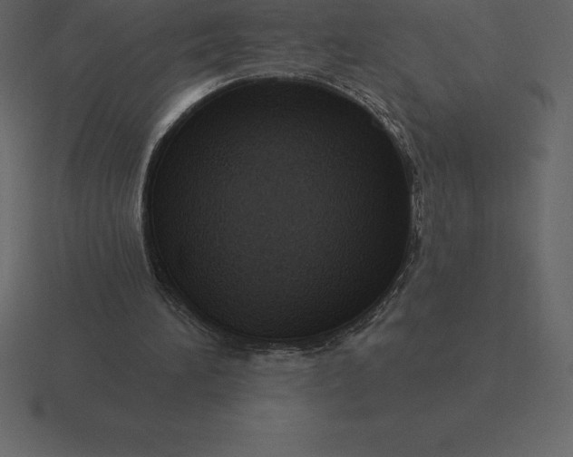 X0000116630196200912241819