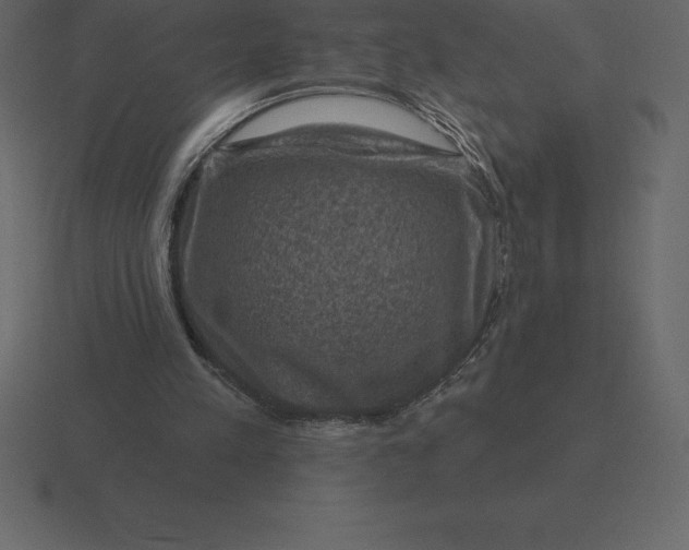 X0000116630197200912241819