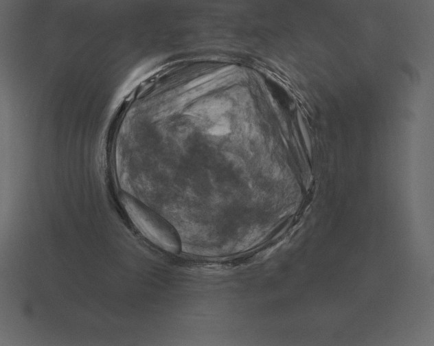 X0000116630198200912241819