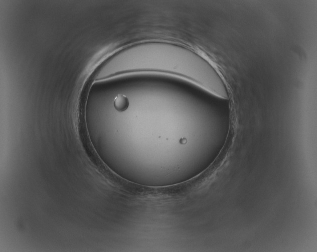 X0000116630199200912241819