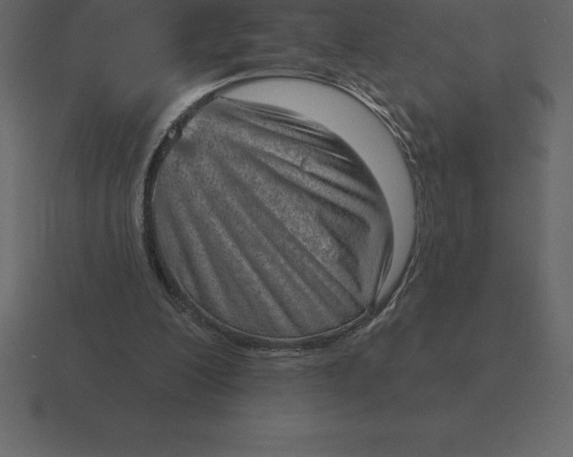 X0000116630200200912241819