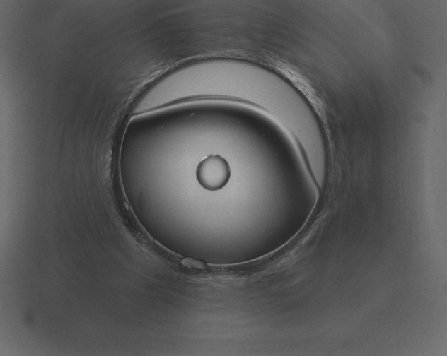 X0000116630201200912241819