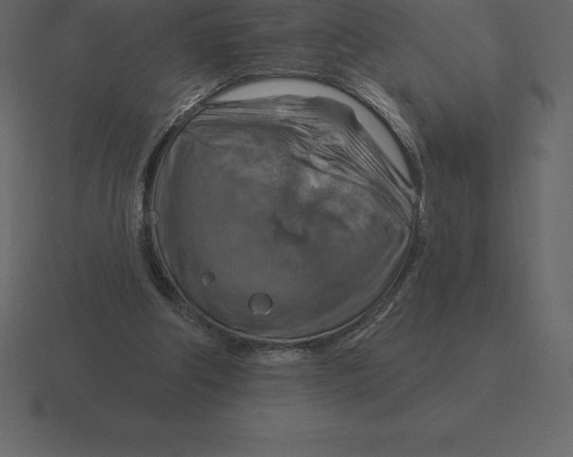 X0000116630202200912241819