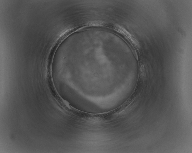 X0000116630203200912241819