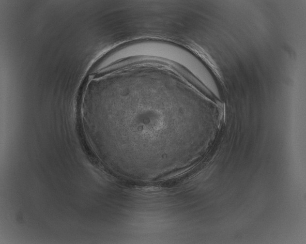 X0000116630204200912241819