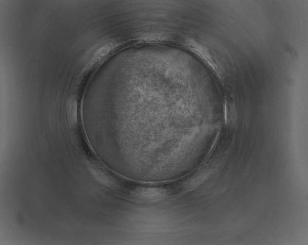 X0000116630205200912241819