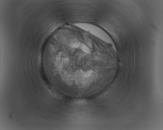 X0000116630206200912241819