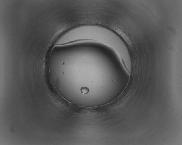 X0000116630207200912241819