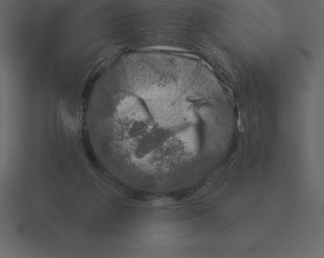 X0000116630210200912241819