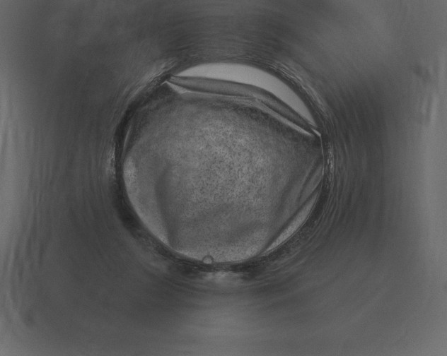 X0000116630212200912241819