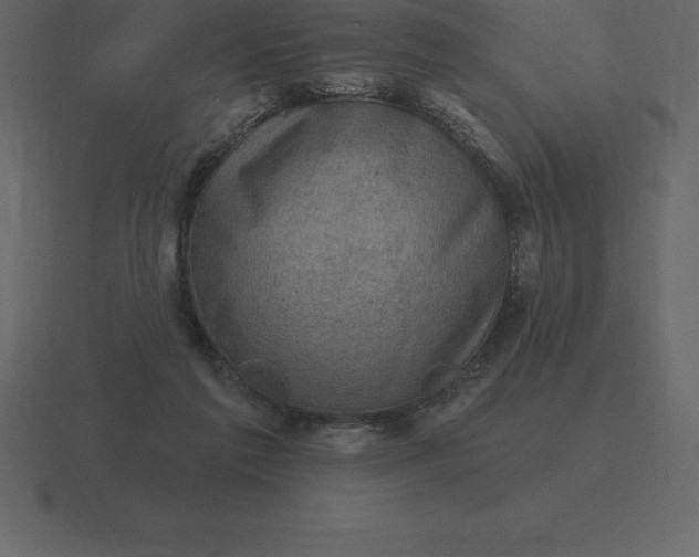 X0000116630213200912241819