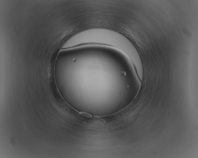 X0000116630215200912241819